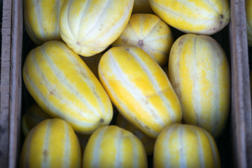 Box of Golden sweet melon for sale