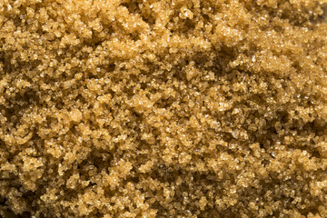 Raw Organic Light Brown Sugar