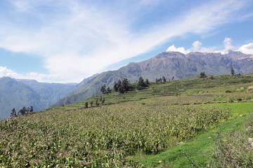 Obraz premium Peruvian Scenery