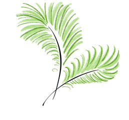 Colorful hand drawn abstract silhouette of green palms branches on white background, isolated colorful nature illustration painted by pen and paper pencil chalk, high quality
