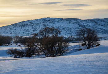 Wyoming Winter Evening 1X