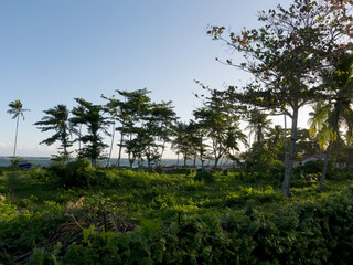 Dominican Republic Samana Peninsula 