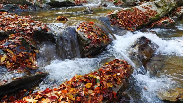 The mountain river with waterfall in autumn forest at amazing sunny day