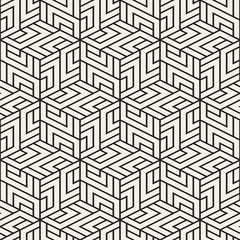 Vector seamless lattice pattern. Modern stylish texture with monochrome trellis. Repeating geometric grid. Simple design background.

