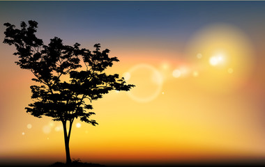 silhouette of tree,Twilight of nature