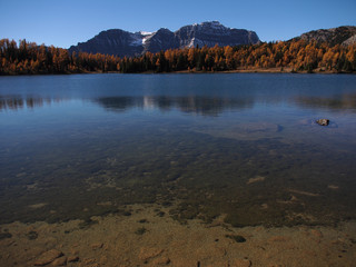 サンシャインメドウズ