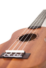 Fototapeta na wymiar The brown ukulele guitar