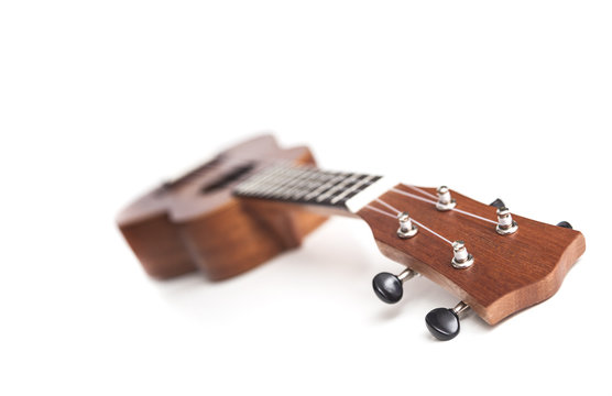 The brown ukulele guitar