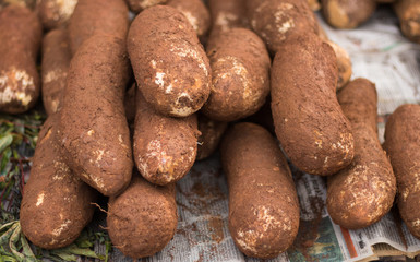 raw cassava roots