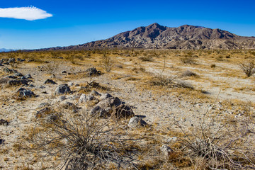 Barren Desert Contrasting against Brilliant Blue Sky with Mountains in the Background in the Anza Borrego Desert State Park