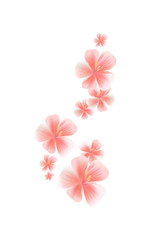 Pink flowers isolated on White background. Apple-tree flowers. Cherry blossom. Vector