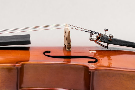 violin zoom view, acoustic instruments of chamber music on white isolated background