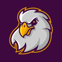 eagle mascot logo for sport team