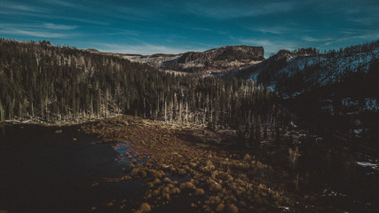 Drone Frozen Lake with Trees in Oregon