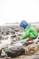 Young boy crouching down searching tidepools for sea life with two starfish in foreground