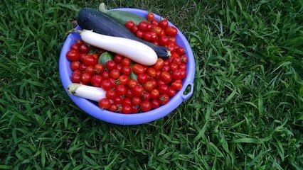 A bowl of Goodness