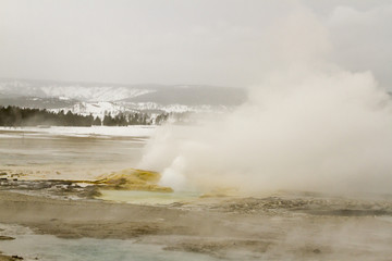 Geysers next to Fountain Geyser erupting at Fountain Paint Pots in Yellowstone National Park