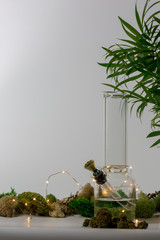 Glass bong with marijuana, tropical plant, lights and moss against white background