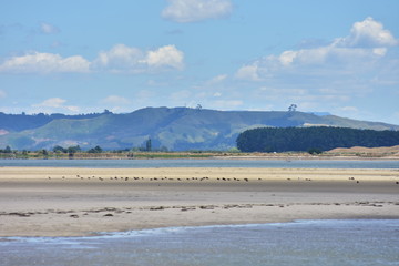 Sandy flats with birds in Maketu estuary with hills in background.