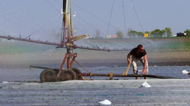The farmer sets up typhon system during cabbage irrigation.