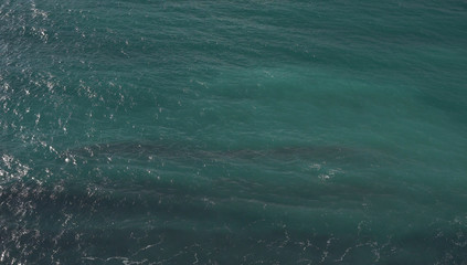 Small water waves, ocean.