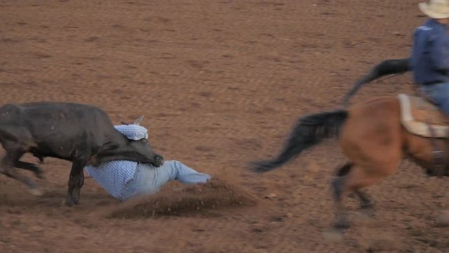 Steer wrestling at a small town rodeo arena