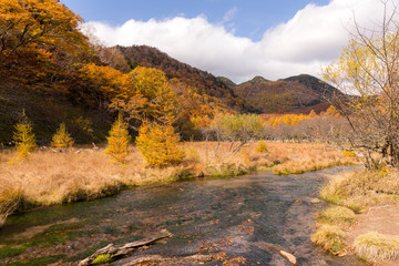 Beautiful landscape in nikko of Japan at autumn season