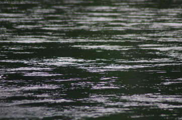 Isar Reflexion Wellen Licht Fluss Wasser
