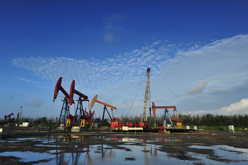 Obraz premium The oil pump