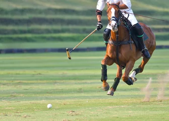 Rolgordijnen The polo player is riding on a horse © Hola53