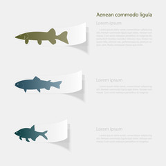 Freshwater fish. Flat sticker with shadow on white background