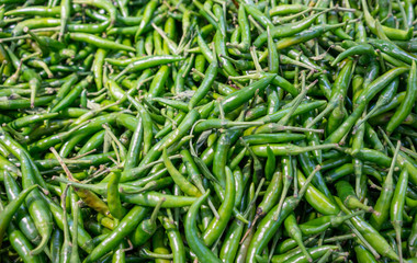 Thai Green Chillies Background,Selective focus. Organic ingredient food.
