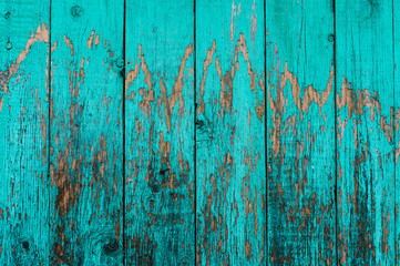 Fototapeta na wymiar Old boards with cracked cyan paint. Textured wooden old background with vertical lines. Wooden planks close up for your design. Green-blue many times painted old wall with lagged fragments of paint