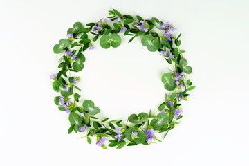 Flowers background. Wreath made of the branches of eucalyptus and purple flowers on a white background. Flat lay. top view. copy space