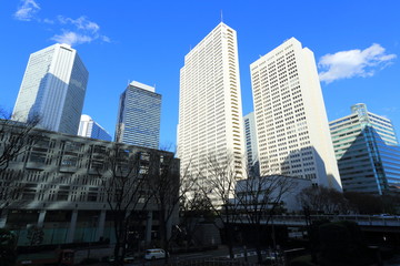 Fototapeta na wymiar 西新宿の高層ビル群