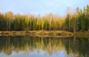 Fototapeta na wymiar Late autumn.November.Bare trees in the forest.Warm sunlight at sunset.Thin ice on the surface of lake.Landscape with beautiful reflection.