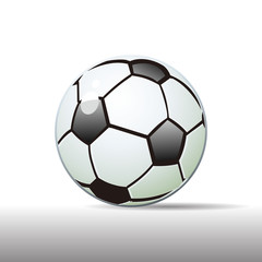 Realistic soccer ball, black and white, on a white background, shadow with a side, cartoon,