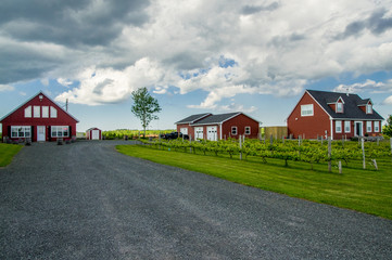 Fototapeta na wymiar Agriculture home landscape