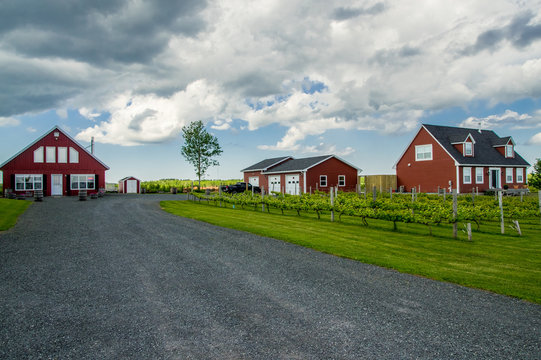 Agriculture home landscape