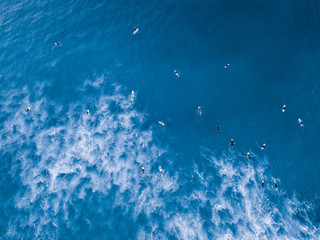 Aerial view of group of surfer waiting for wave.