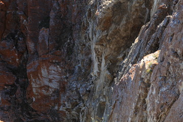 siberia