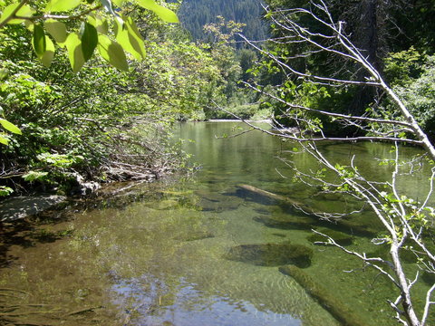 river view