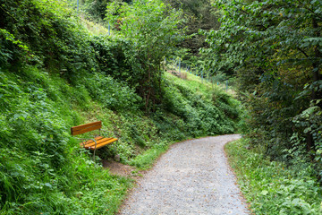 Fototapeta na wymiar Pathway with Sitting Bank for Relaxing
