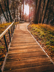 Steps leading to the river