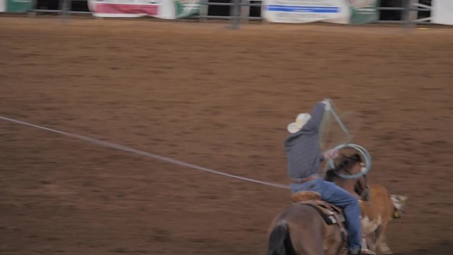 Team roping at the hometown rodeo.
