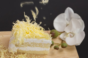 piece of milk cheese cake