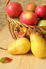Yellow pears on the table and apples in a wicker basket.