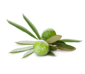 Green olives fruit on white background