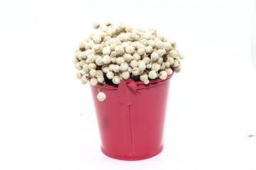 A Bunch of dried white Eriocaulon henryanum Ruhle on red bucket of water