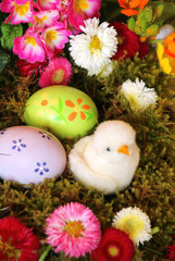 osternest mit kücken